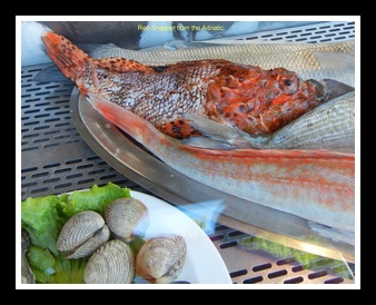 [Click to enlarge image]